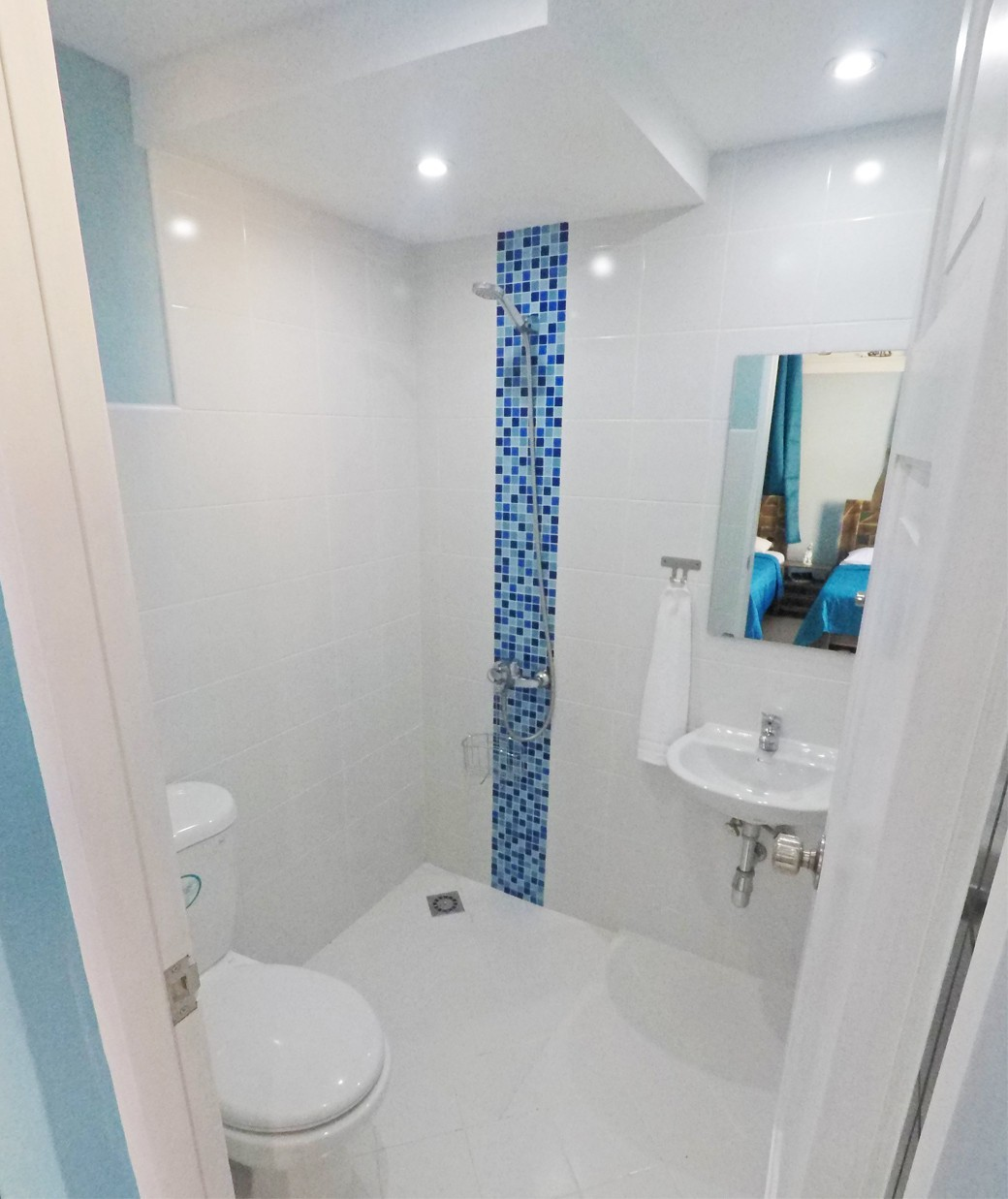 Ensuite bathroom of Blue Room in La Quimera guesthouse in Havana